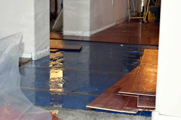Professional Water Damage Restoration technician working in Stoneham, CO
