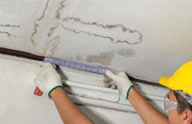 Reliable Water Damage Restoration contractor in Stoneham, CO by Water Damage Irwin